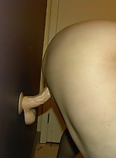 Porky Beauties photo 5 of 10