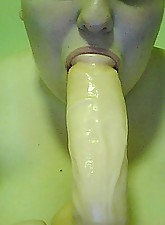 Porky Beauties photo 1 of 10