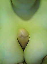 Porky Beauties photo 2 of 10