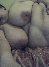 Porky Beauties photo 3 of 10