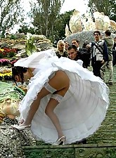 Hot Brides photo 5 of 12