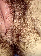 Amazing Hairy Girls photo 9 of 9