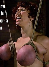 Lezdom Collection photo 3 of 5