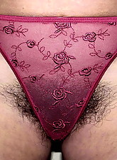 Hairy Wife photo 1 of 12